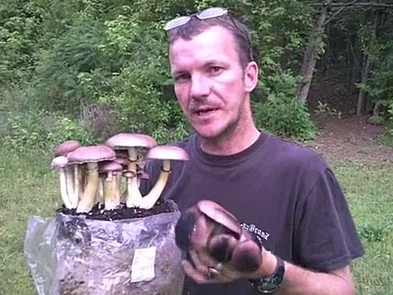 Fungus compost grow mushroom filling machine
