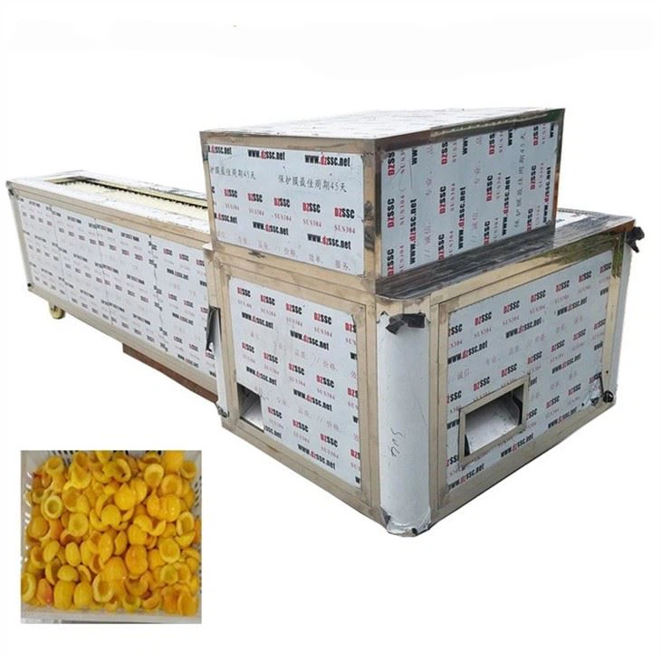 Apricot Pitting Machine