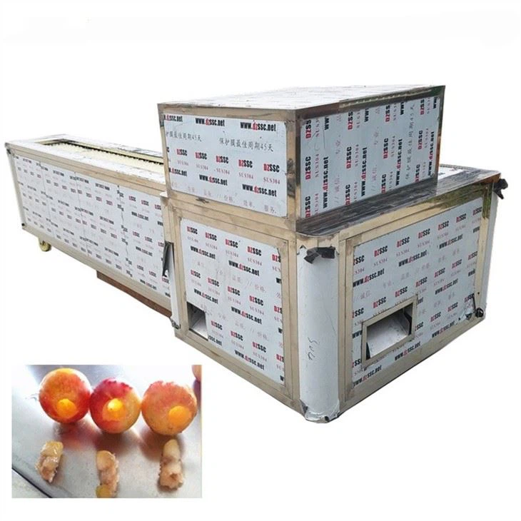 Apricot Pitting Machine