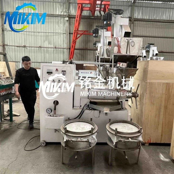 Sunflower Oil Extraction Machine