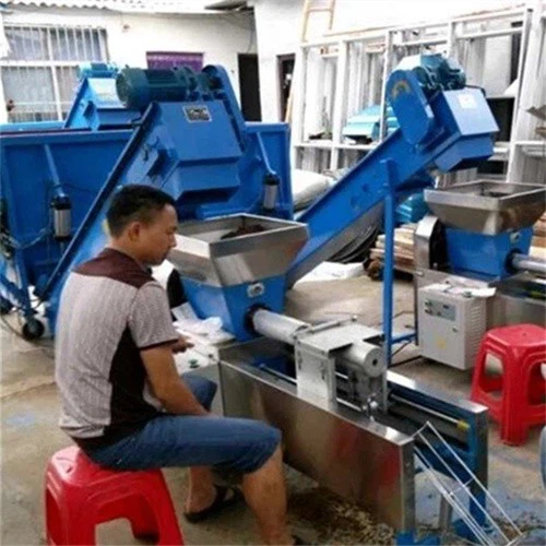 Almond Mushroom Automatic Bagging Equipment